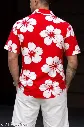 7642.webp