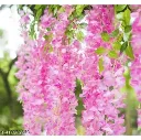 8226.webp